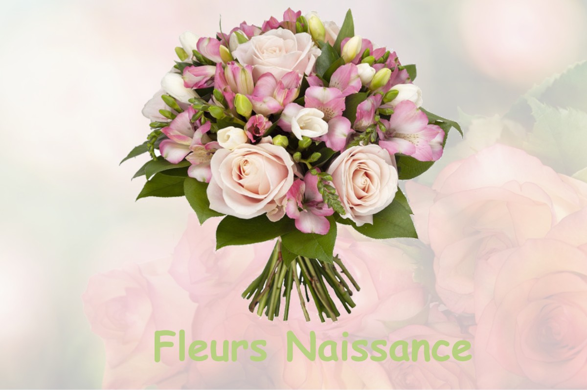 fleurs naissance SOUSVILLE